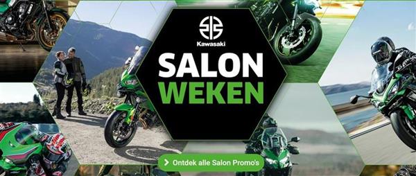 Salonweken